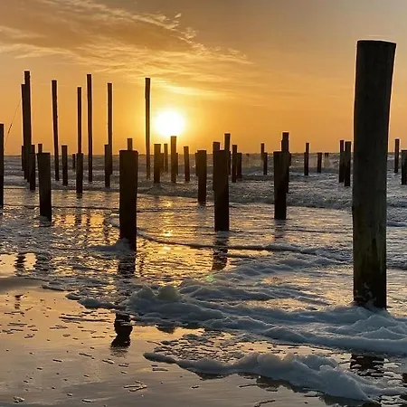 Dream 3c Appartement Petten