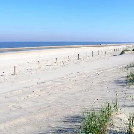 Dream 3c Petten